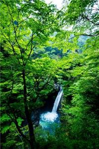 Secluded Waterfall in the Woods Journal