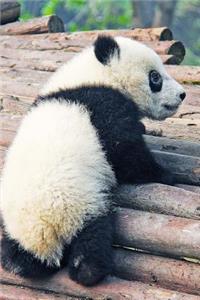 Just So Adorable Black and White Baby Panda Animal Journal