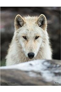 80 Page Wolf Sketchbook