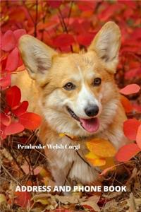 Address and Phone Book