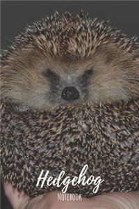 Hedgehog Notebook