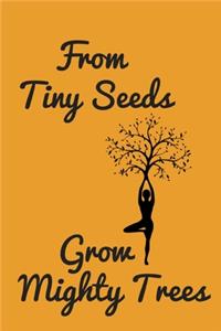 From Tiny Seeds Grow Mighty Trees