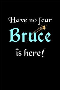 Have No Fear, Bruce Is Here