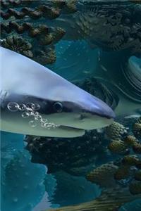 Shark Notebook