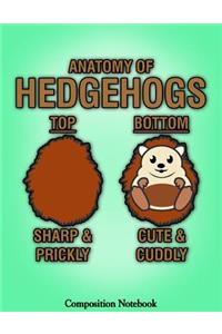 Anatomy Of Hedgehogs