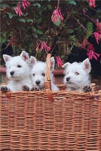 School Composition Book Three Puppies Basket Dog Photo 130 Pages