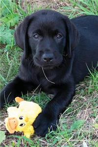 Black Lab Puppy Planner