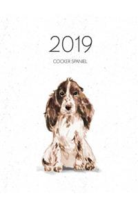 2019 Cocker Spaniel