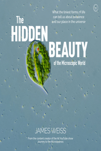 Hidden Beauty of the Microscopic World