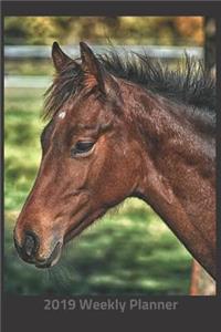 Plan on It 2019 Weekly Calendar Planner - Neigh Neigh Says the Horse
