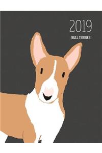 2019 Bull Terrier