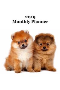 2019 Monthly Planner