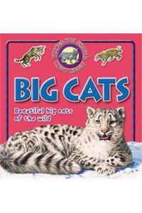 10 Things You Should Know About Big Cats