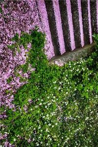 Cherry Blossoms Fallen on Stairs in Japan Journal