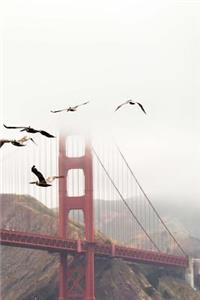 Pelicans Fly Past Golden Gate Bridge