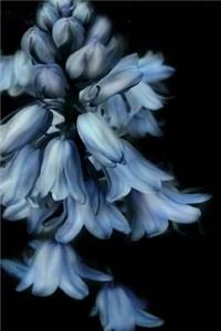 Beautiful Bluebells Garden Flowers Journal