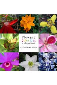 Flowers Coloridas