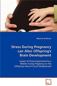 Stress During Pregnancy can Alter Offspring's Brain Development