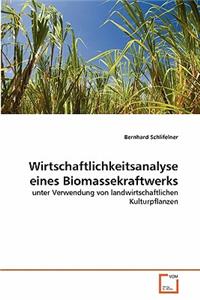 Wirtschaftlichkeitsanalyse eines Biomassekraftwerks