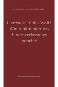 Wie Funktioniert Das Bundesverfassungsgericht?