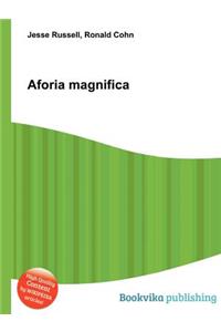 Aforia Magnifica