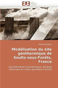 Modélisation Du Site Géothermique de Soultz-Sous-Forèts, France