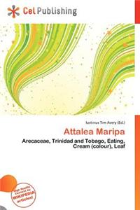 Attalea Maripa