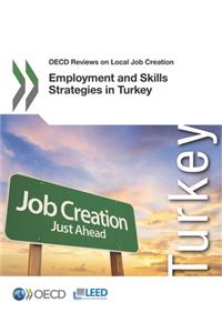 OECD Reviews on Local Job Creation Employment and Skills Strategies in Turkey