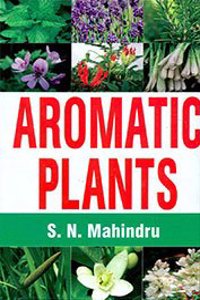 Aromatic Plants