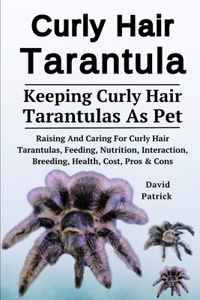 Curly Hair Tarantula