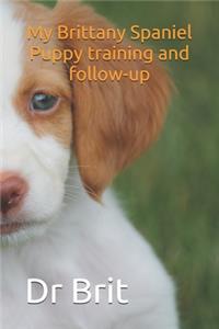 My Brittany Spaniel Puppy training and follow-up