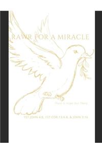 Rawr For A Miracle