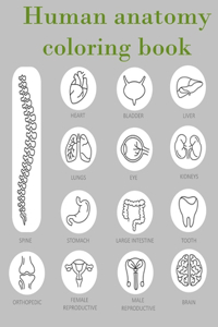 Human anatomy coloring book