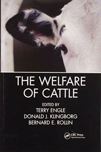 The Welfare of Cattle