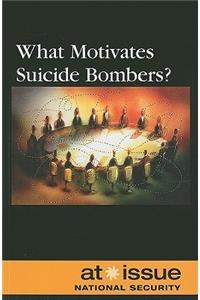 What Motivates Suicide Bombers?