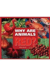 Why Are Animals Red?