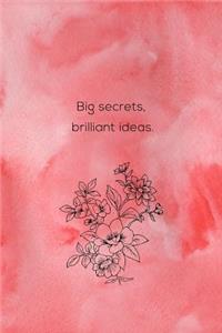 Big Secrets, Brilliant Ideas