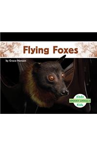 Flying Foxes