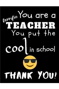 You Are A Terrific Teacher You Put The Cool In The School Thank You!