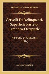 Cervelli Di Delinquenti, Superficie Parieto-Temporo-Occipitale