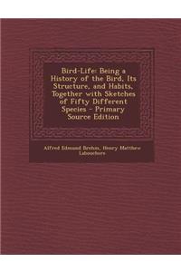 Bird-Life: Being a History of the Bird, Its Structure, and Habits, Together with Sketches of Fifty Different Species