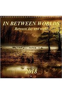 In Between Worlds - Between Day and Night 2018