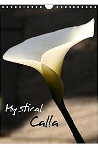 Mystical Calla 2018