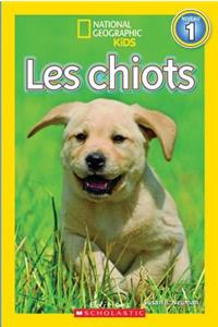 National Geographic Kids: Les Chiots (Niveau 1)