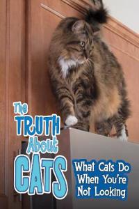 The Truth about Cats