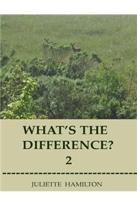 What's the difference? 2