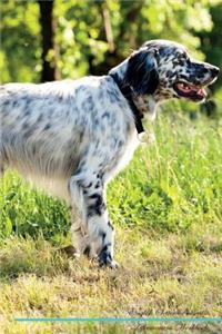 English Setter Affirmations Workbook English Setter Presents
