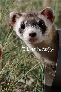 I Love Ferrets