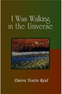 I Was Walking in the Universe