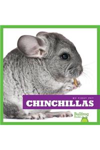 Chinchillas